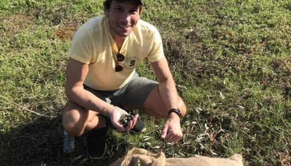 Man kneeling on grass holding olives while sitting next to a burlap sack. - Olive Oil Times