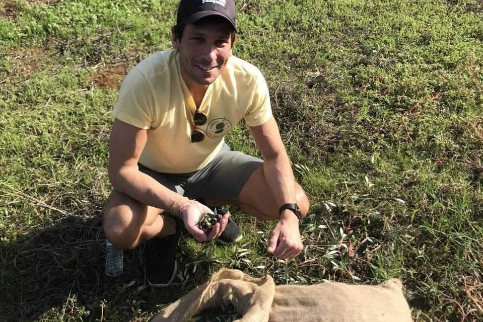 Man kneeling on grass holding olives while sitting next to a burlap sack. - Olive Oil Times