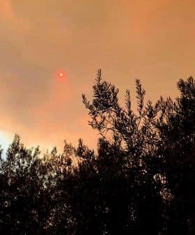 Sunset appearing as a red orb through smoky clouds above silhouetted trees. - Olive Oil Times