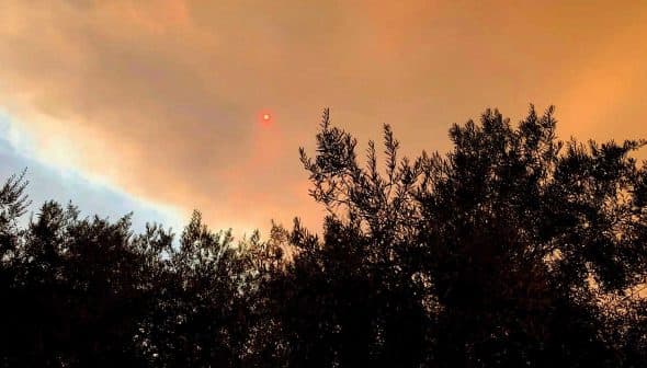 Sunset appearing as a red orb through smoky clouds above silhouetted trees. - Olive Oil Times