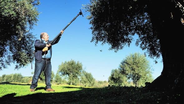 Monte da Oliveira Velha - Amor é Cego