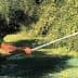 Man using a long pole to harvest olives from an olive tree in a field. - Olive Oil Times