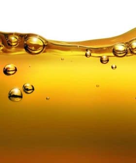 Close-up image of olive oil with bubbles suspended in the liquid. - Olive Oil Times