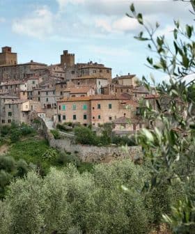 View of the Trequanda province of Siena with olive trees in the foreground and buildings in the background. - Olive Oil Times