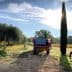 Red agricultural tractor parked on a dirt path next to a vineyard and cypress tree. - Olive Oil Times