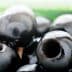 Close-up view of shiny black olives with visible holes and smooth surfaces. - Olive Oil Times