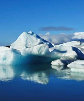 Icebergs of various shapes and sizes floating in calm water under a clear blue sky. - Olive Oil Times