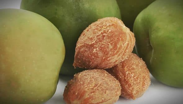Several green apples with a cluster of olive pits in the foreground. - Olive Oil Times