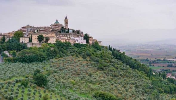 A hilltop village with buildings and a church tower, surrounded by olive trees and rolling hills. - Olive Oil Times