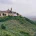 A hilltop village with buildings and a church tower, surrounded by olive trees and rolling hills. - Olive Oil Times