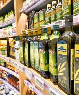 Various bottles of olive oil displayed on a shelf in a grocery store. - Olive Oil Times