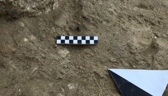 Checkerboard scale and measuring tool placed on the ground in a dirt area. - Olive Oil Times