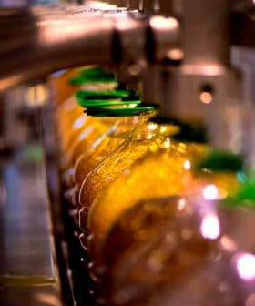 Row of bottles filled with oil on a production line with green caps. - Olive Oil Times