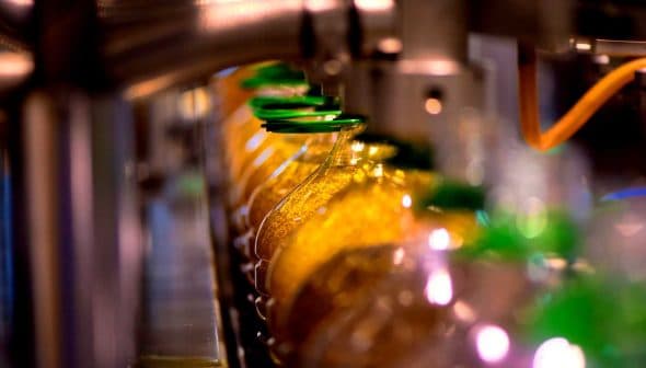 Row of bottles filled with oil on a production line with green caps. - Olive Oil Times