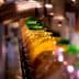 Row of bottles filled with oil on a production line with green caps. - Olive Oil Times