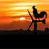 Silhouette of a rooster standing on a wind turbine with a sunset in the background. - Olive Oil Times