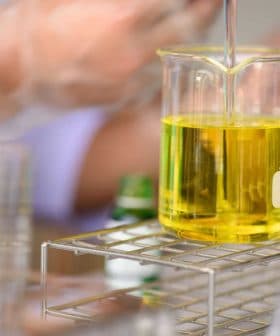 A laboratory beaker containing yellow liquid being filled from a pipette. - Olive Oil Times