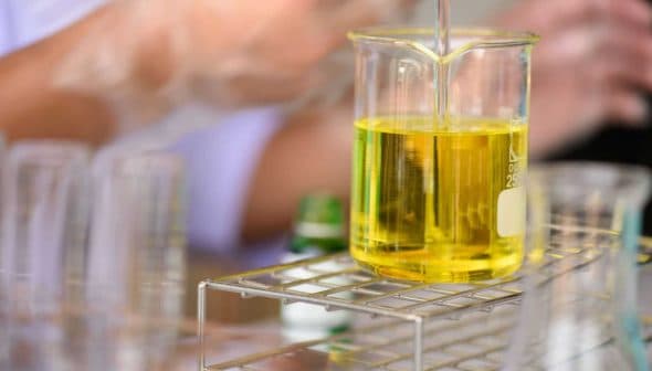 A laboratory beaker containing yellow liquid being filled from a pipette. - Olive Oil Times