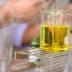 A laboratory beaker containing yellow liquid being filled from a pipette. - Olive Oil Times