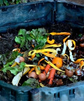 Compost bin filled with organic waste including vegetable scraps and eggshells. - Olive Oil Times