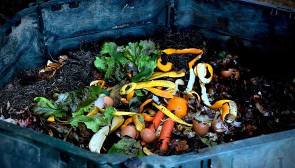 Compost bin filled with organic waste including vegetable scraps and eggshells. - Olive Oil Times