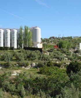 Cruzcampo brewery facility with silos and a large sign in a rural landscape. - Olive Oil Times
