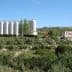 Cruzcampo brewery facility with silos and a large sign in a rural landscape. - Olive Oil Times