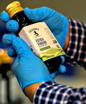 Person wearing blue gloves holding a bottle of California extra virgin olive oil with a label. - Olive Oil Times