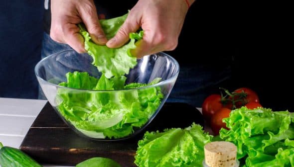 Person tearing fresh green lettuce leaves into a glass bowl for salad preparation. - Olive Oil Times