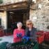 Two women holding a handful of olives while sorting them in a processing area. - Olive Oil Times