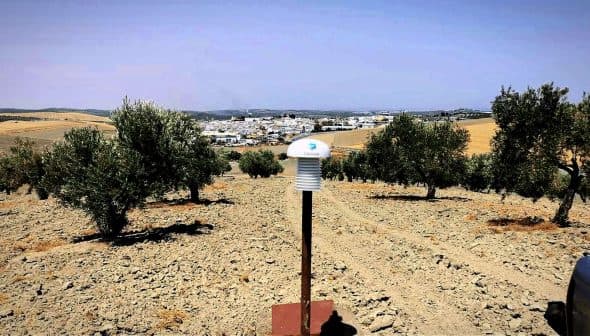 Monitoring device positioned in an olive grove with trees in the background. - Olive Oil Times