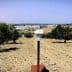 Monitoring device positioned in an olive grove with trees in the background. - Olive Oil Times