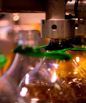 Bottles being filled with olive oil in a production line with green caps. - Olive Oil Times