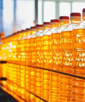Multiple bottles of cooking oil lined up, showcasing their bright yellow liquid under natural light. - Olive Oil Times