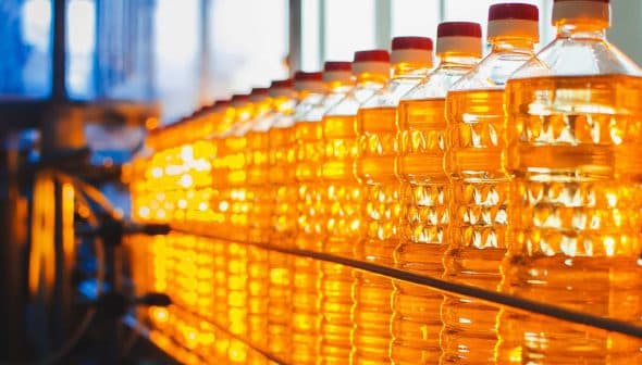 Multiple bottles of cooking oil lined up, showcasing their bright yellow liquid under natural light. - Olive Oil Times