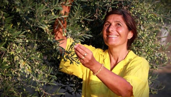Woman in a yellow shirt picking olives from an olive tree with a smile on her face. - Olive Oil Times