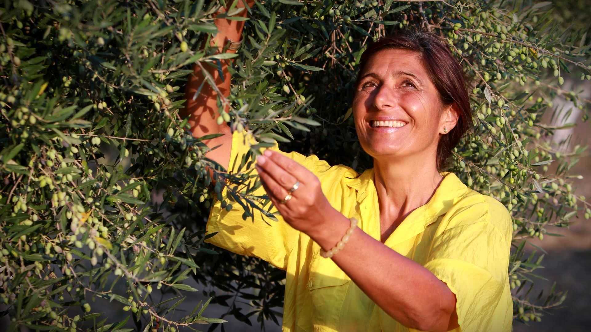 Woman in a yellow shirt picking olives from an olive tree with a smile on her face. - Olive Oil Times
