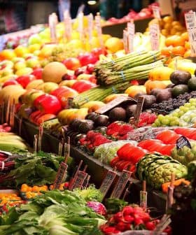 Colorful display of fresh fruits and vegetables arranged at a market stall. - Olive Oil Times