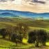 Landscape featuring rolling green hills and olive trees under a cloudy sky. - Olive Oil Times