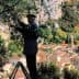 A person pruning an olive tree while standing on a ladder in a mountainous area. - Olive Oil Times