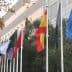 A row of international flags displayed on poles outside a building, including the Spanish flag and others. - Olive Oil Times