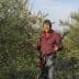 Man wearing a checkered shirt holding an olive harvesting tool in an olive grove. - Olive Oil Times