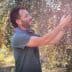 Man inspecting and harvesting olives from a tree in an olive grove. - Olive Oil Times