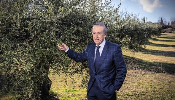 A man in a suit standing beside an olive tree in an outdoor setting. - Olive Oil Times