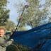 Individual operating a pole harvester to collect olives from a tree under a blue tarp. - Olive Oil Times