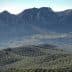 Mountainous landscape featuring rolling hills covered with olive trees and rocky peaks in the background. - Olive Oil Times