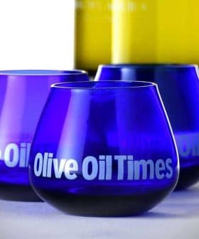 Olive oil tasting glasses