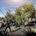 Two workers using poles to harvest olives from a tree with a tractor in the background. - Olive Oil Times