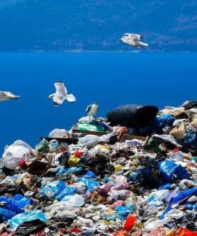 A large pile of mixed waste with seagulls flying above it against a blue ocean background. - Olive Oil Times