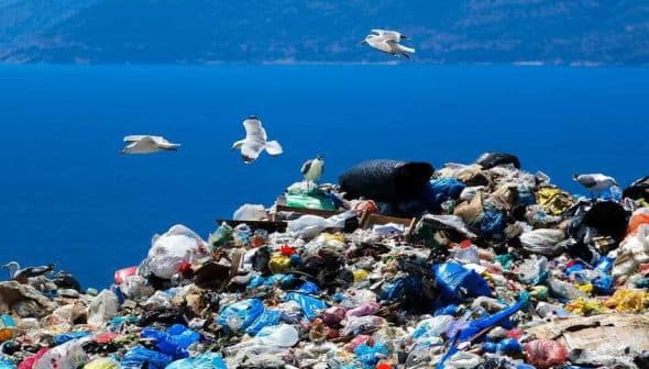 A large pile of mixed waste with seagulls flying above it against a blue ocean background. - Olive Oil Times